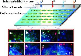 Localization of nanofiber scaffolds used for parallel 3D cellular assays